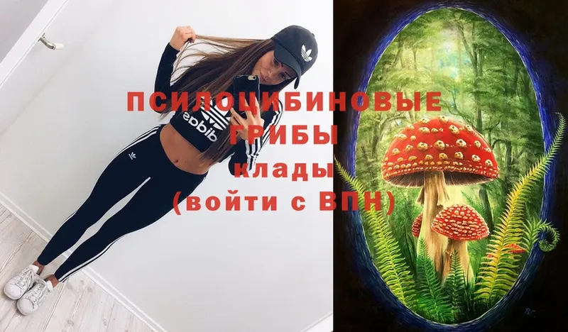 Псилоцибиновые грибы Magic Shrooms  как найти закладки  Болохово 